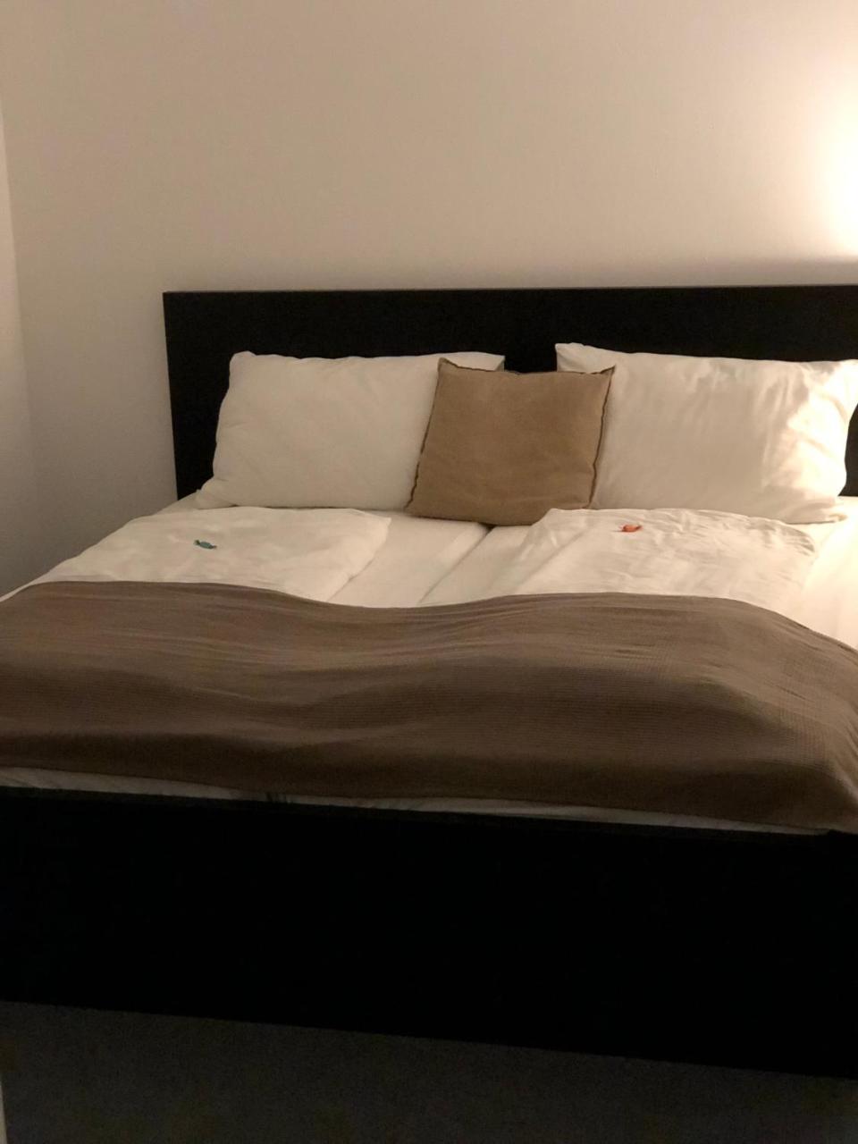Boutique Hostel Zum Goldenen Kegel Wina Bagian luar foto